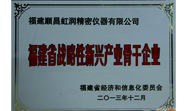 虹潤躋身省級戰(zhàn)略性新興產(chǎn)業(yè)骨干企業(yè)